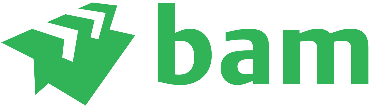 BAM
