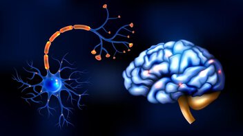 serotonine